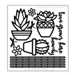 Succulents Mini