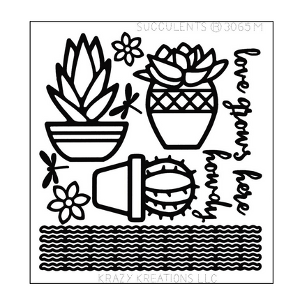Succulents Mini
