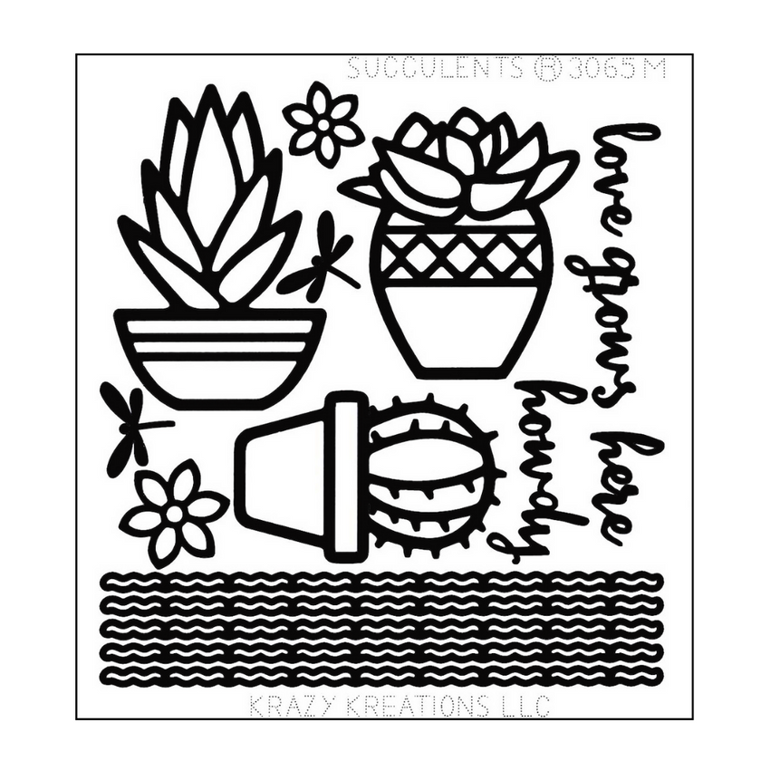 Succulents Mini